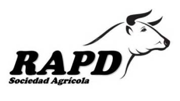 RAPD Logo